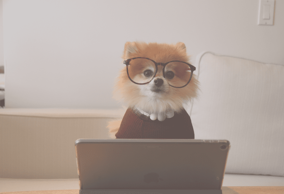 a cure bear on glasses pressing a laptop